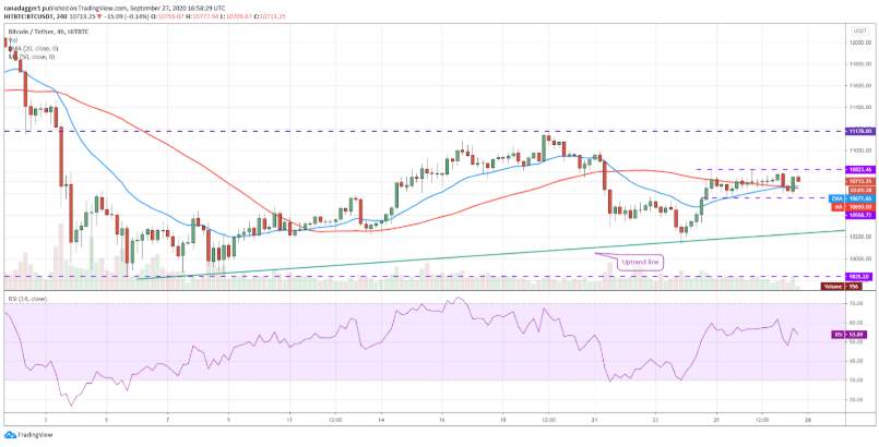 Top 5 đồng coin đáng chú ý nhất trong tuần này: BTC, DOT, CRO, XEM, XTZ
