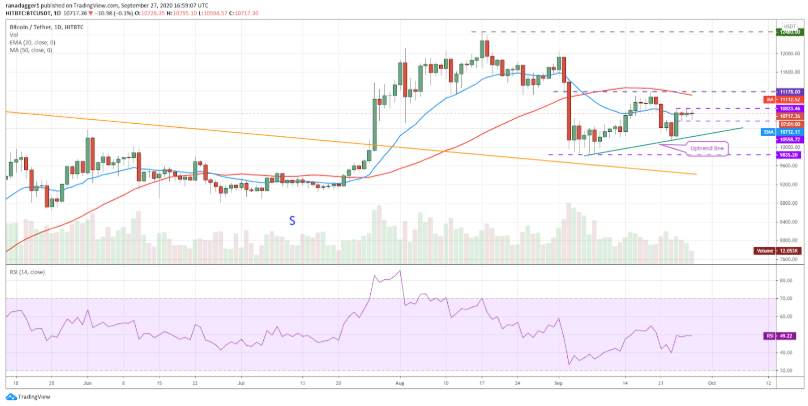 Top 5 đồng coin đáng chú ý nhất trong tuần này: BTC, DOT, CRO, XEM, XTZ