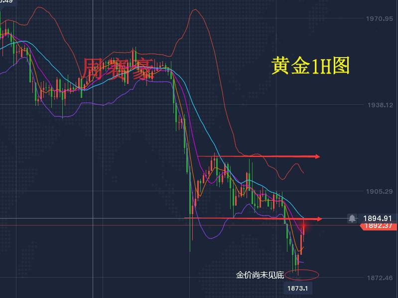 周赛豪：小心！今晚鲍威尔携众高官登场 黄金后市如何操作？