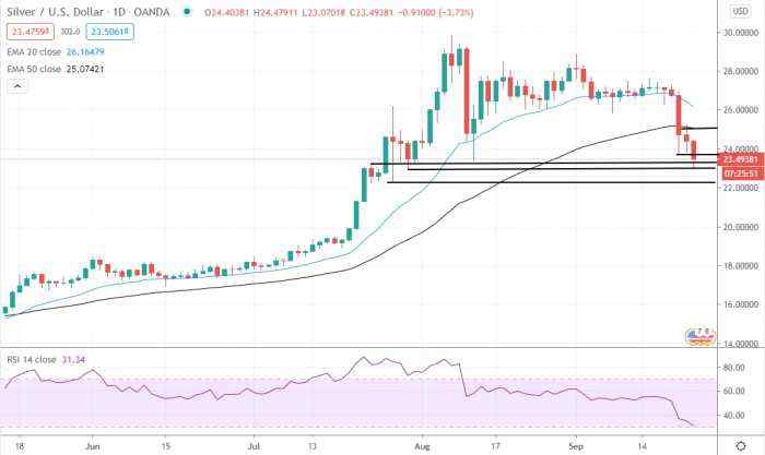Silver Price Daily Forecast – Test Of Support At $23.30