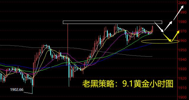 老黑策略：9.1黄金分析策略