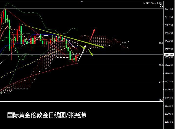 张尧浠：黄金百日线如期止跌反弹、美大选预迎强势支撑