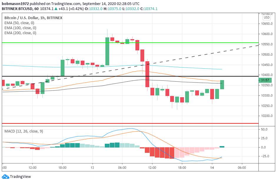 The Crypto Daily – Movers and Shakers – September 14th, 2020