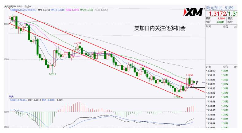 XM汇评 – 美元震荡依旧，欧美磅美美加美日黄金原油交易策略