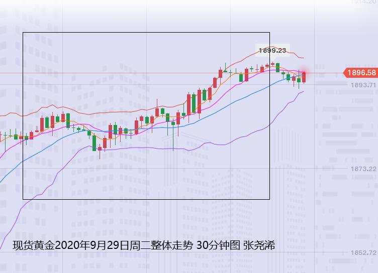 张尧浠：美大选辩论首场上演、黄金反弹仍有空间