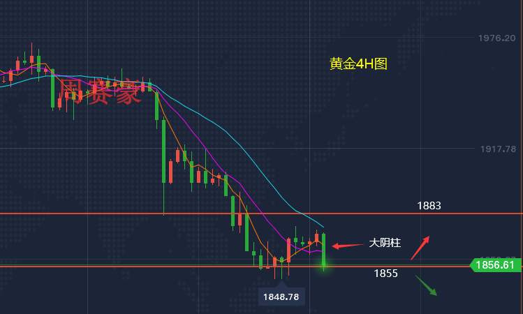 周赛豪：美指再次施压黄金 金价走低8美元 后市行情解析