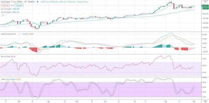 Gold Price Prediction – Prices Edge Higher Despite Robust ISM Data