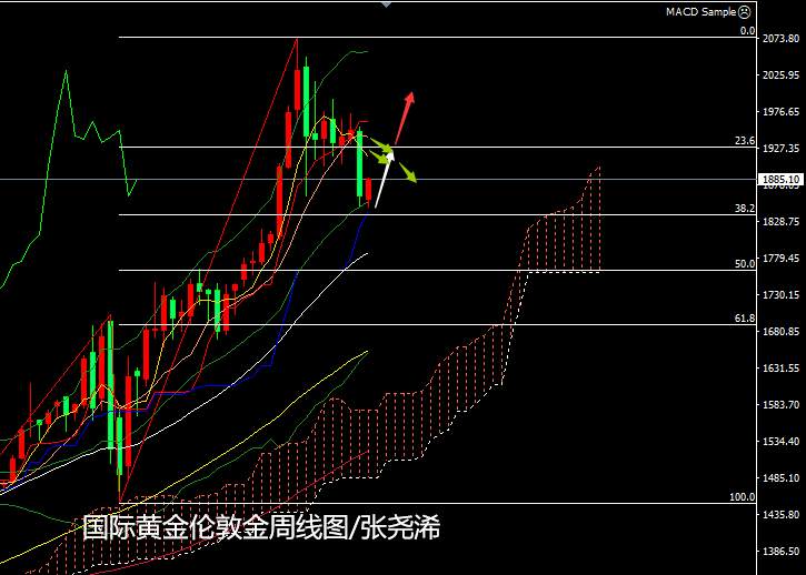 张尧浠：黄金百日线如期止跌反弹、美大选预迎强势支撑