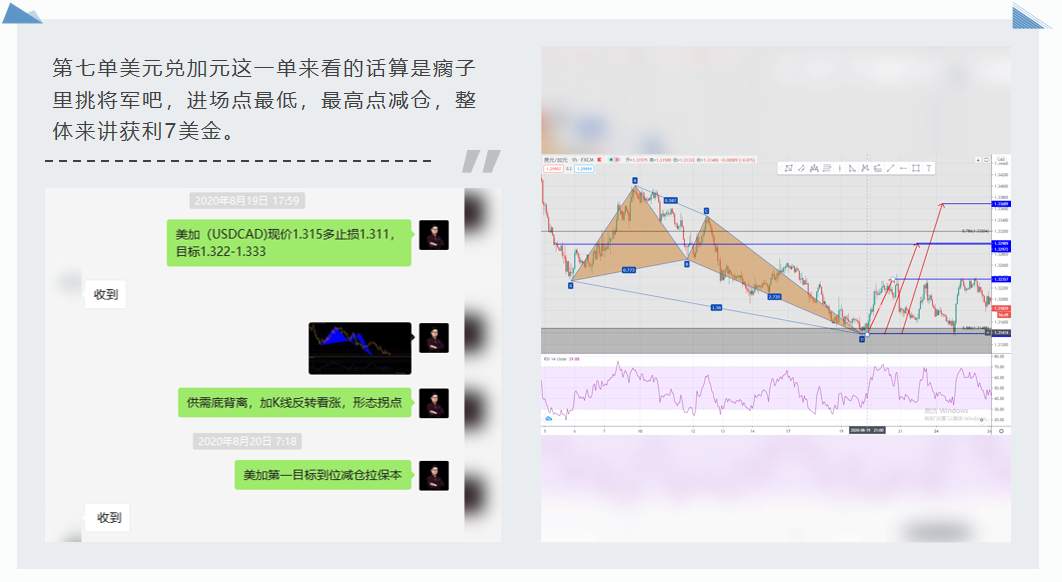 金市大鲤：第八期月交易计划总结