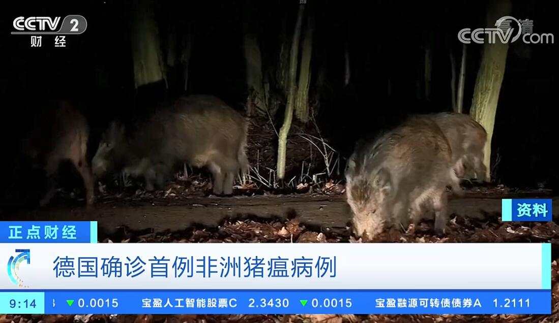 美国8月CPI料温和增长，给看跌黄金另一重理由