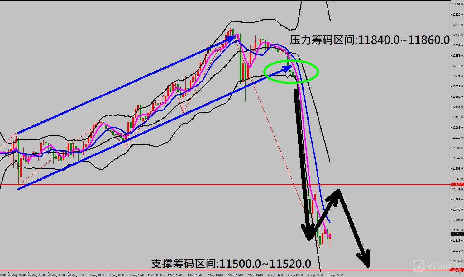 2020/09/04 美股全面崩盘下跌今晚焦点大非农数据 金价走势触底反弹