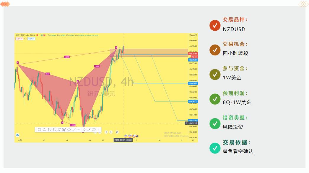 金市大鲤：第九期月交易计划布局