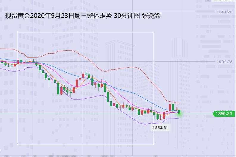 张尧浠：黄金连遭美元重压下挫、关注百日线支撑有反弹