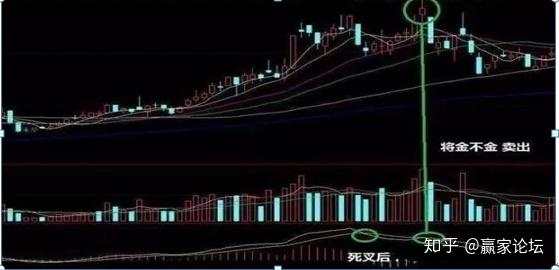 犹太人大道至简的暴利方法：将金不金卖出、将死不死买，大道至简