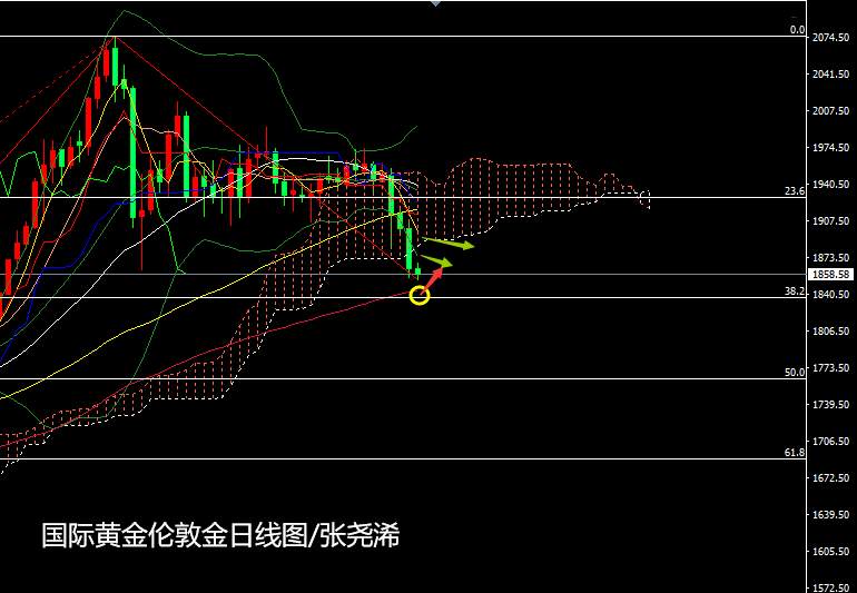 张尧浠：黄金连遭美元重压下挫、关注百日线支撑有反弹