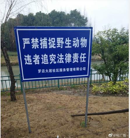 从“波西条款”，来聊聊交易的规则制定