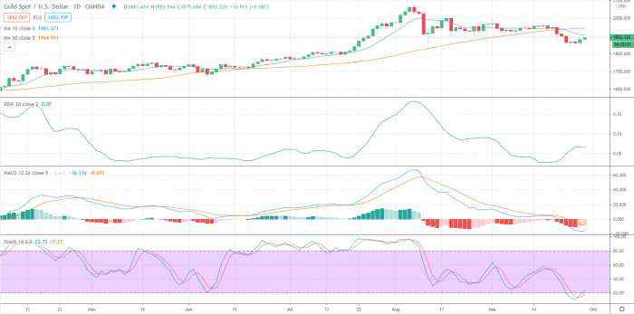 Gold Price Prediction – Prices Rally on Covid Concerns