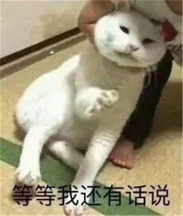 外汇黄金作手 支撑压力16-关键位置3