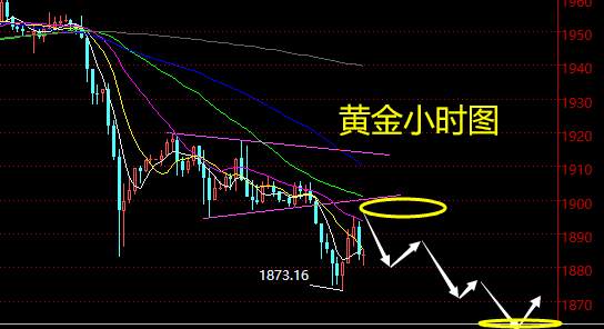 老黑策略：9.23晚盘外汇、黄金、原油分析策略