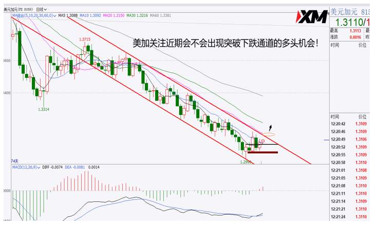 XM汇评 – 美元多头继续企稳，美加面临冲关