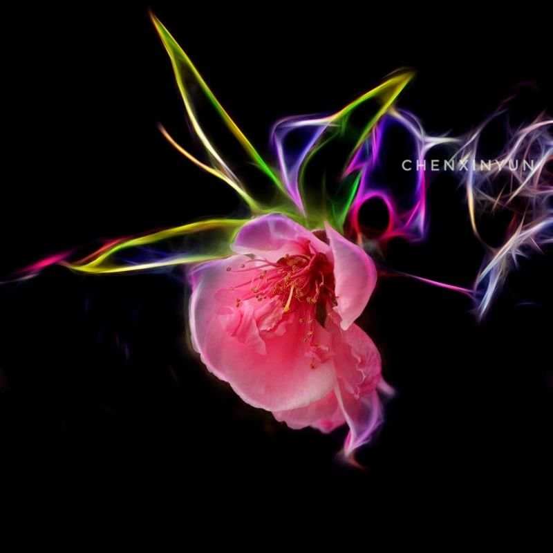 feed-image-0