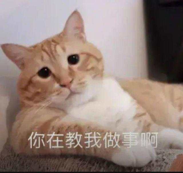 外汇黄金作手 支撑压力15-关键位置2