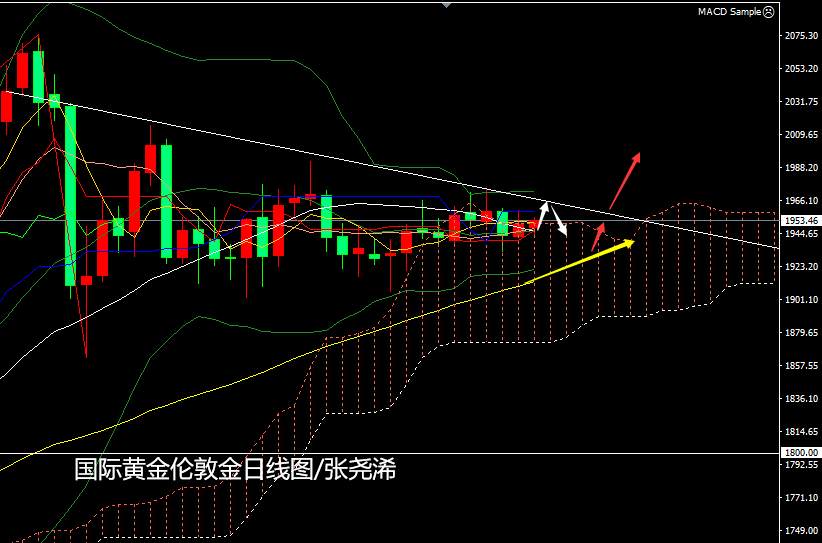 张尧浠：经济乐观仍显多重不定性、黄金延续缓行看慢涨