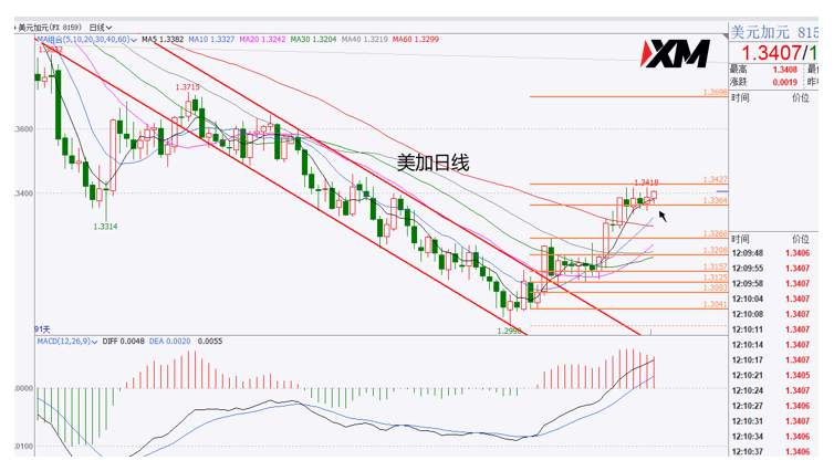 XM汇评 – 美元回调至关键区域，黄金上涨面临压制