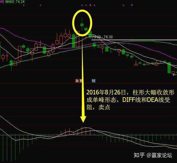 犹太人大道至简的暴利方法：将金不金卖出、将死不死买，大道至简