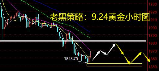 老黑策略：9.24黄金分析策略