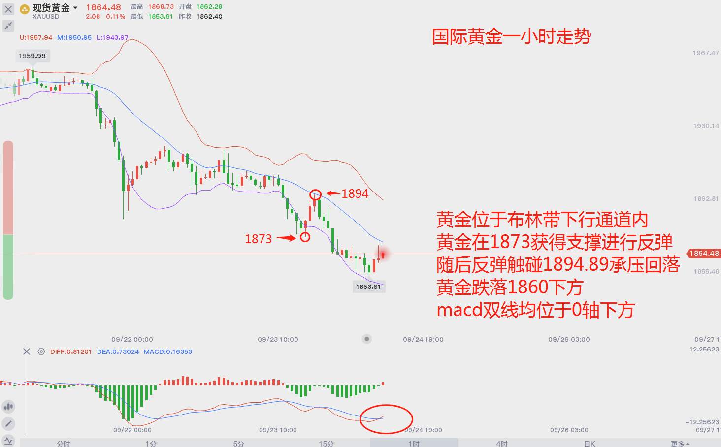 黄金早盘，市场是空头的狂欢