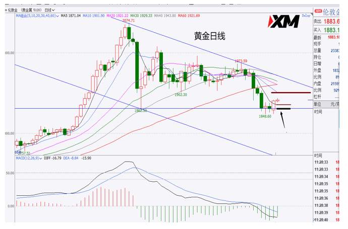 XM汇评 – 黄金多头发起反攻，美元多头出现受阻