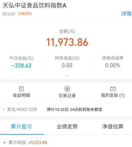 2020.10.23 十月基金定投简报