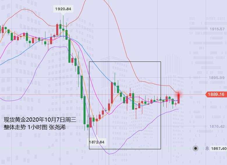 张尧浠：市场基本面摇摆不定、黄金多头觊觎长期看涨