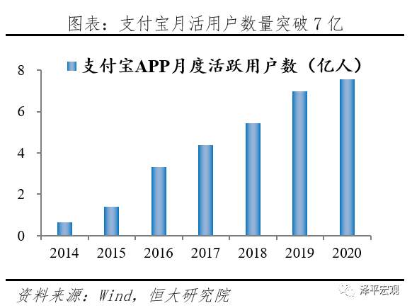 蚂蚁研究报告