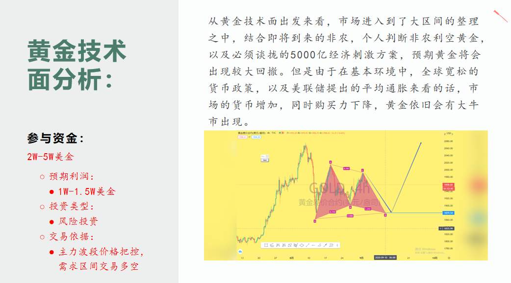 金市大鲤：第九期月交易总结