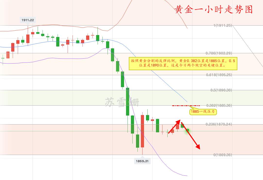苏雪姗：10.29黄金下跌已成定局，反弹以后再进空！