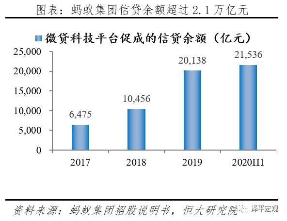 蚂蚁研究报告