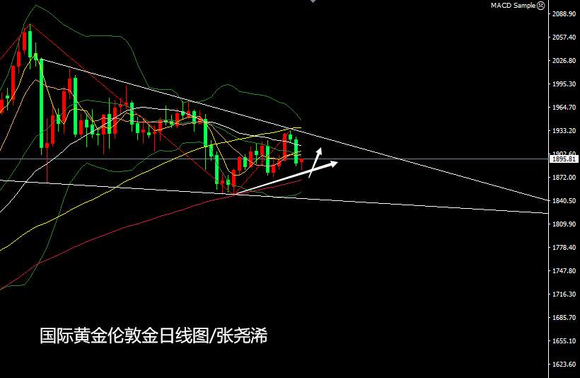 张尧浠：抛开基本面、黄金回撤再近百日支撑多单机会