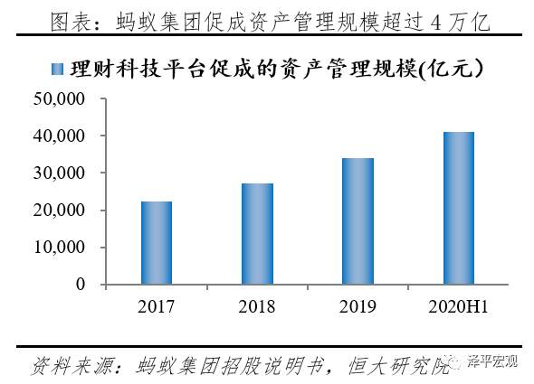 蚂蚁研究报告