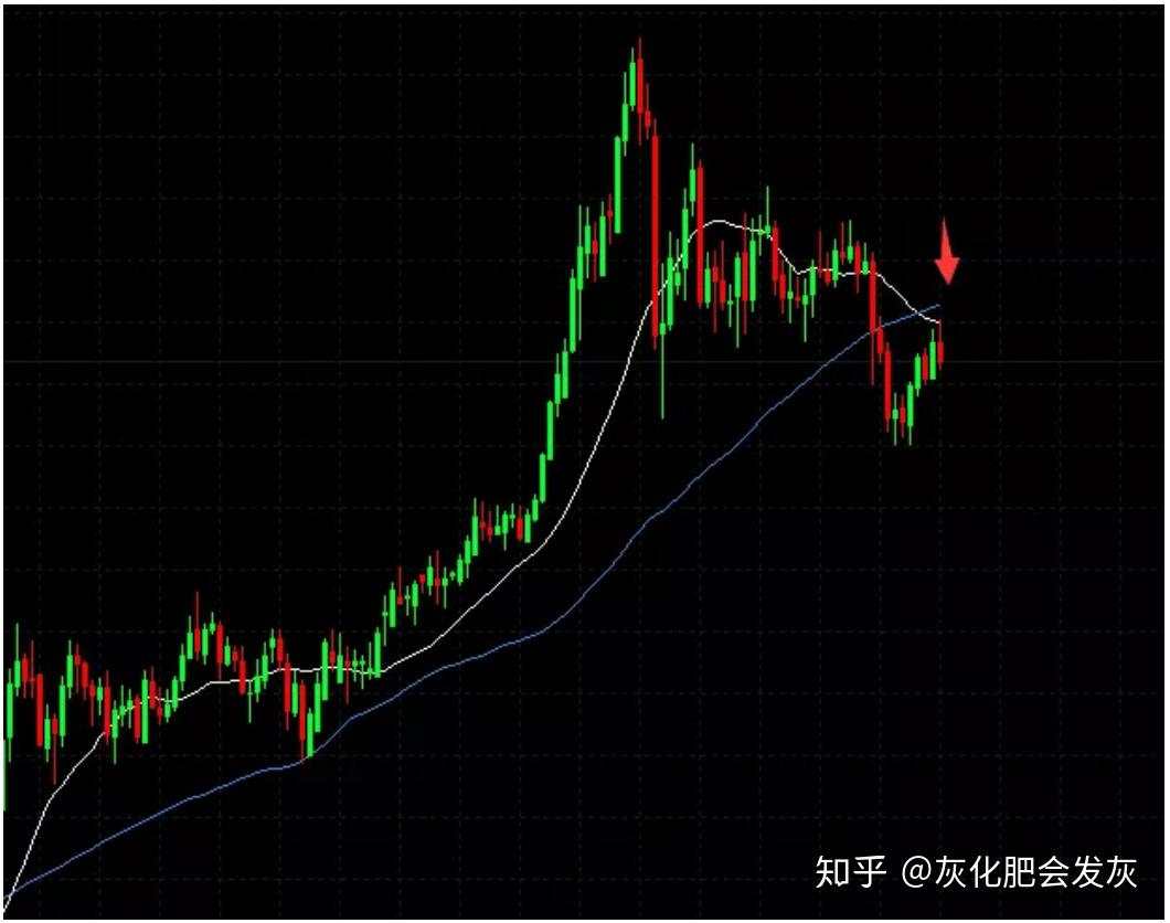 大选行情开始，除了。。
