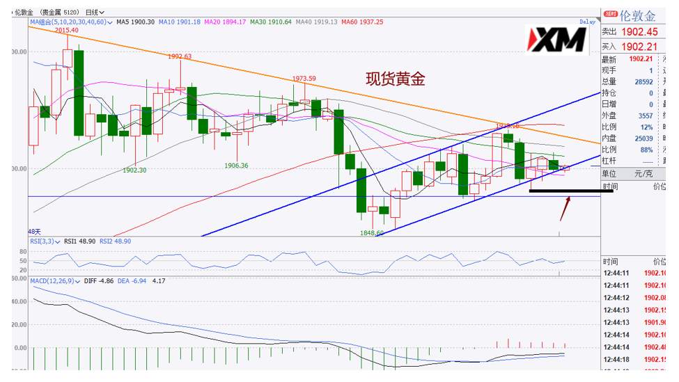 XM汇评–美元继续震荡，黄金本周面临选择