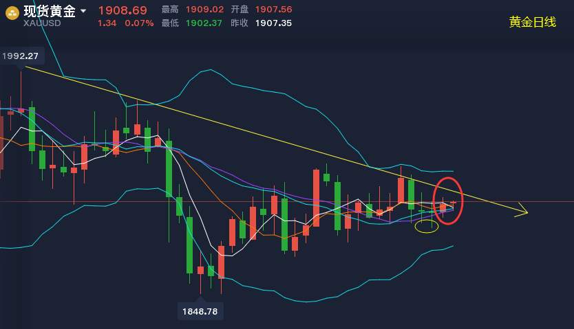 黄金盯盘侠10.28：日线能否双针探底 就看今天收线情况