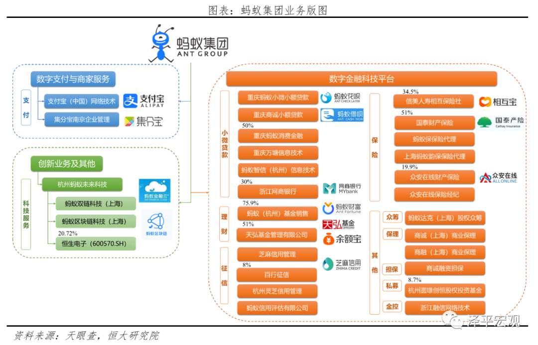 蚂蚁研究报告