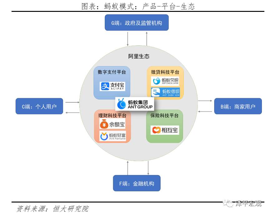 蚂蚁研究报告