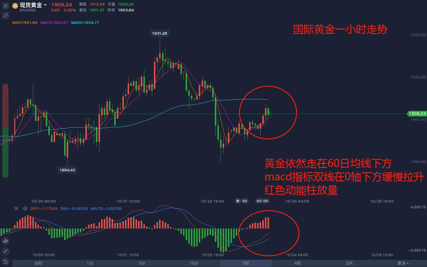 尾盘黄金分析