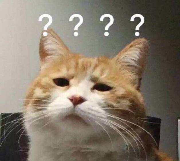大法官顺利就职，大选结果难道已无悬念？