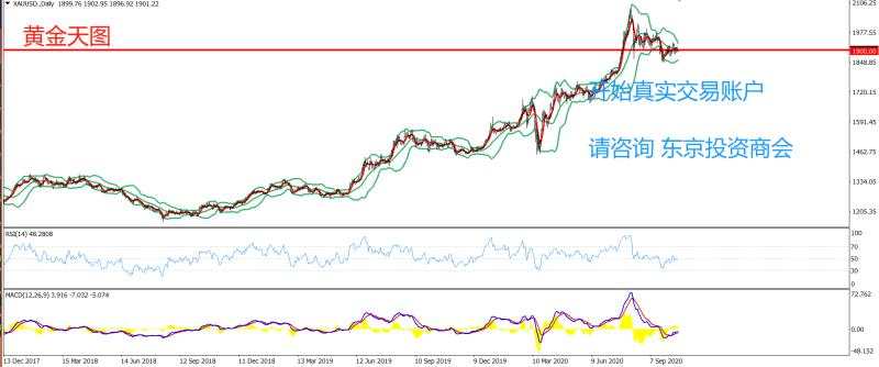 2020年10月19日 今日汇评