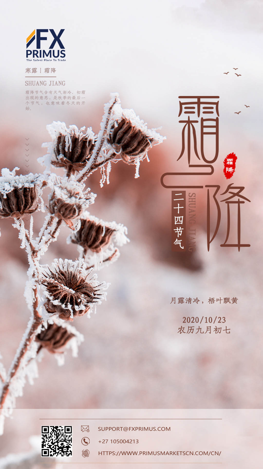feed image