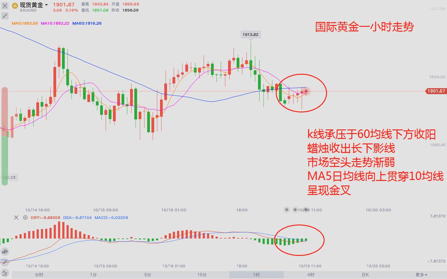 疫情愈演愈烈，大选能否改变黄金走势？